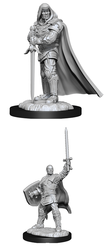 DND UNPAINTED MINIS WV13 HUMAN PALADIN MALE Minatures Wizkids Games    | Red Claw Gaming