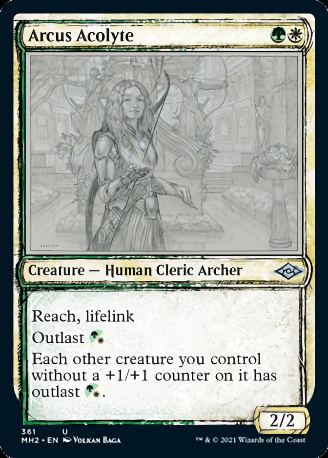 Arcus Acolyte (Sketch) [Modern Horizons 2] MTG Single Magic: The Gathering | Red Claw Gaming