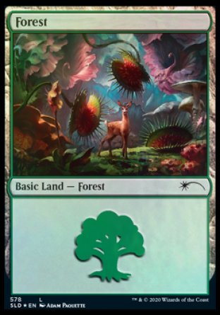 Forest (Predatory) (578) [Secret Lair Drop Promos] MTG Single Magic: The Gathering | Red Claw Gaming