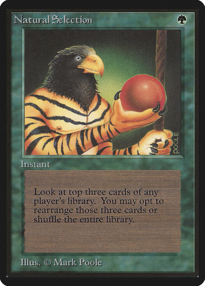 Natural Selection [Beta Edition] MTG Single Magic: The Gathering | Red Claw Gaming