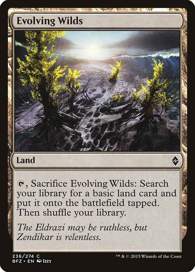 Evolving Wilds [Battle for Zendikar] MTG Single Magic: The Gathering | Red Claw Gaming