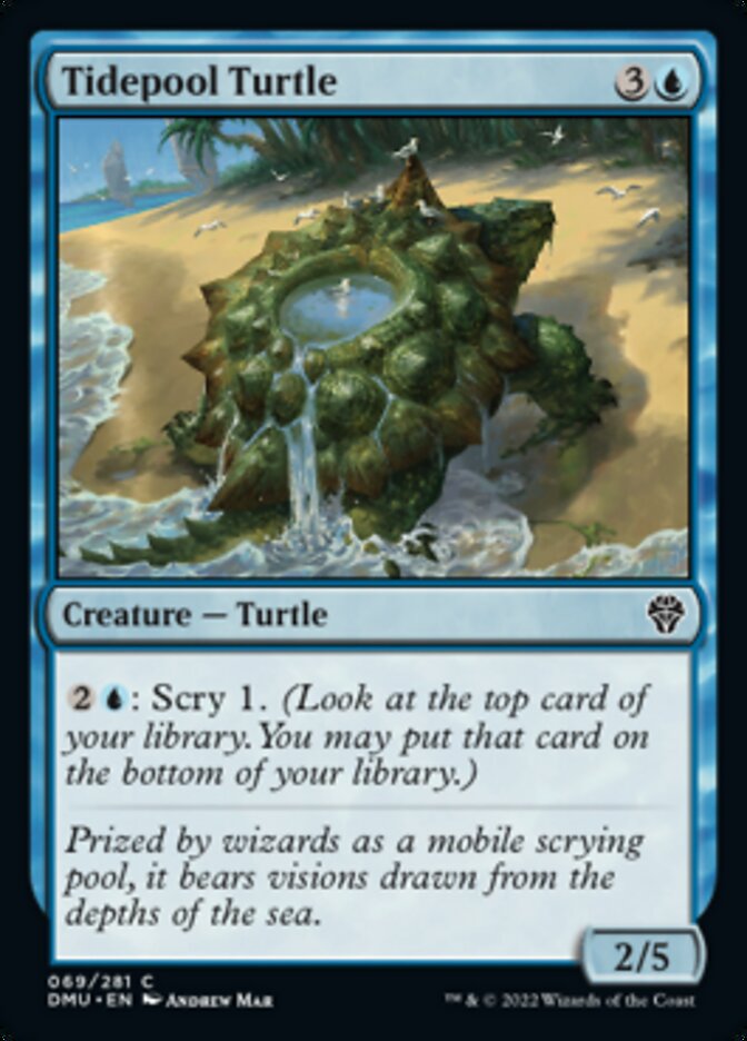 Tidepool Turtle [Dominaria United] MTG Single Magic: The Gathering | Red Claw Gaming