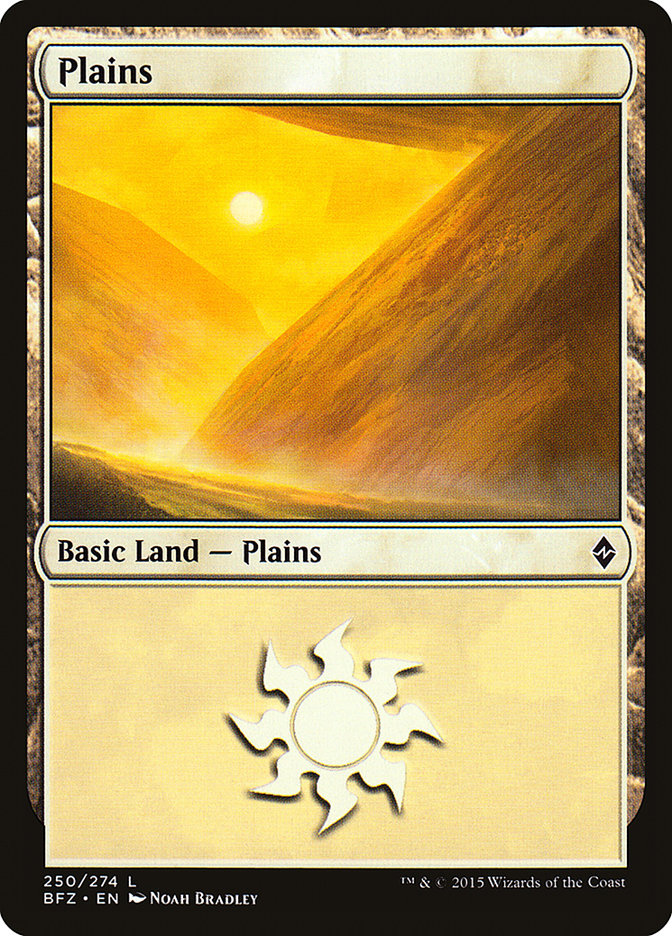 Plains (250) [Battle for Zendikar] MTG Single Magic: The Gathering | Red Claw Gaming