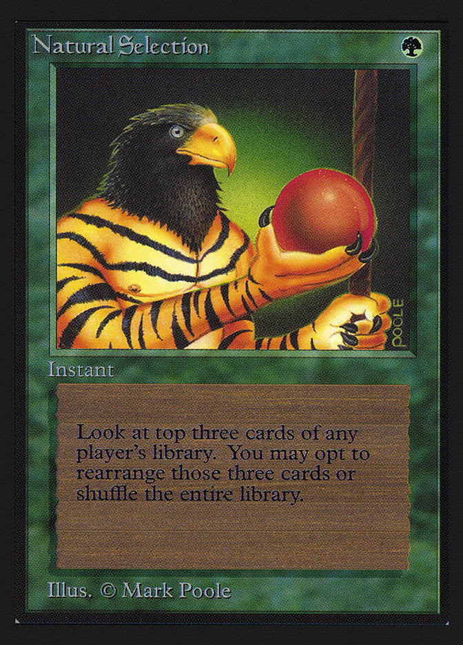 Natural Selection [International Collectors' Edition] MTG Single Magic: The Gathering | Red Claw Gaming