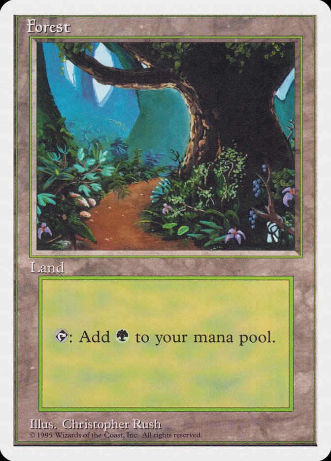 Forest (Dirt Path) [Rivals Quick Start Set] MTG Single Magic: The Gathering | Red Claw Gaming