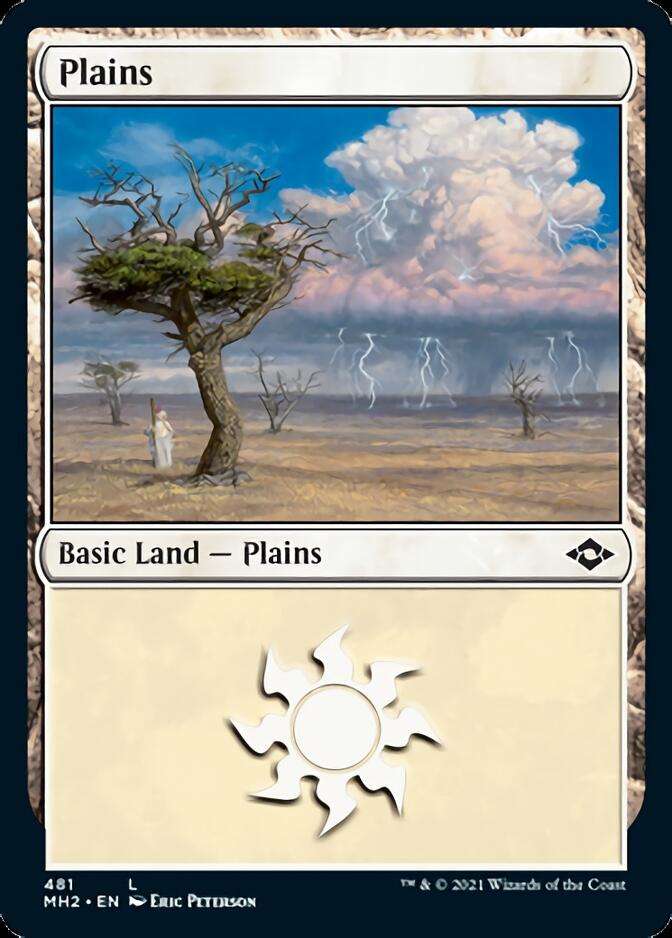 Plains (481) (Foil Etched) [Modern Horizons 2] MTG Single Magic: The Gathering | Red Claw Gaming