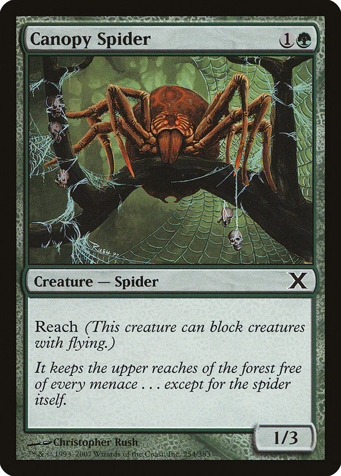 Canopy Spider [Tenth Edition] MTG Single Magic: The Gathering | Red Claw Gaming