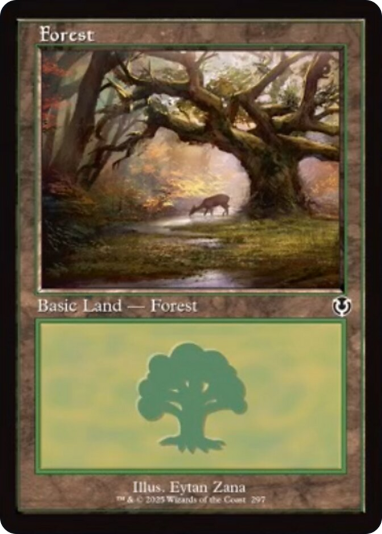 Forest (297) (Retro Frame) [Innistrad Remastered] MTG Single Magic: The Gathering | Red Claw Gaming