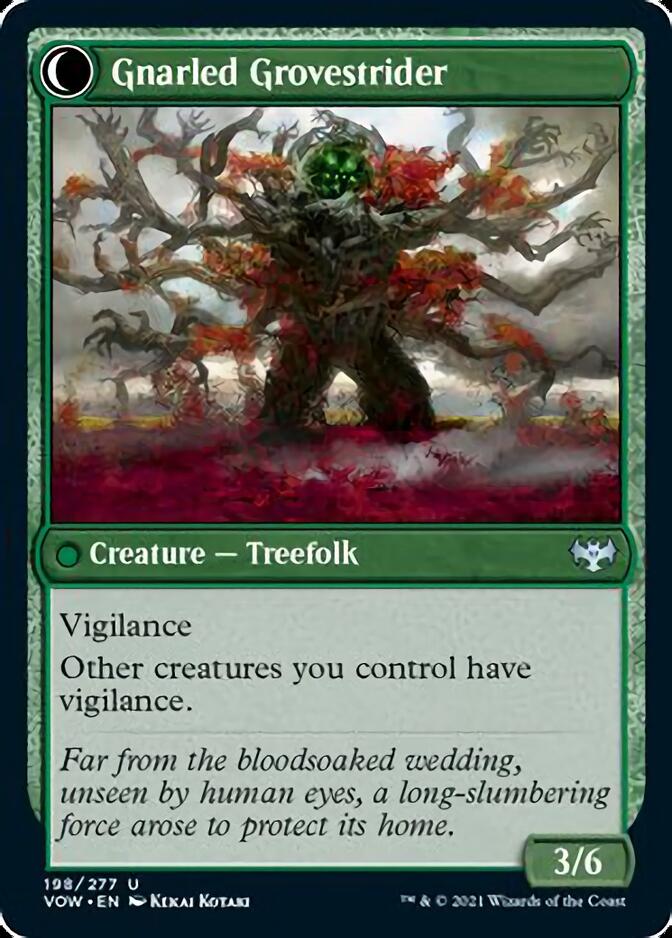Dormant Grove // Gnarled Grovestrider [Innistrad: Crimson Vow] MTG Single Magic: The Gathering | Red Claw Gaming