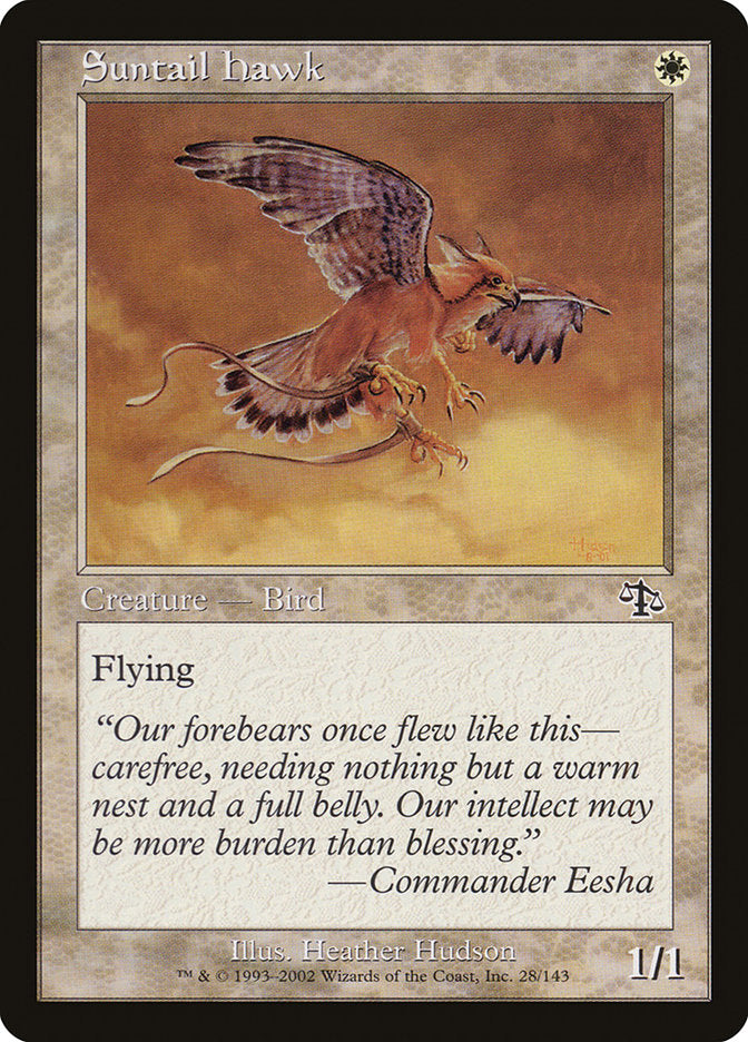 Suntail Hawk [Judgment] MTG Single Magic: The Gathering | Red Claw Gaming