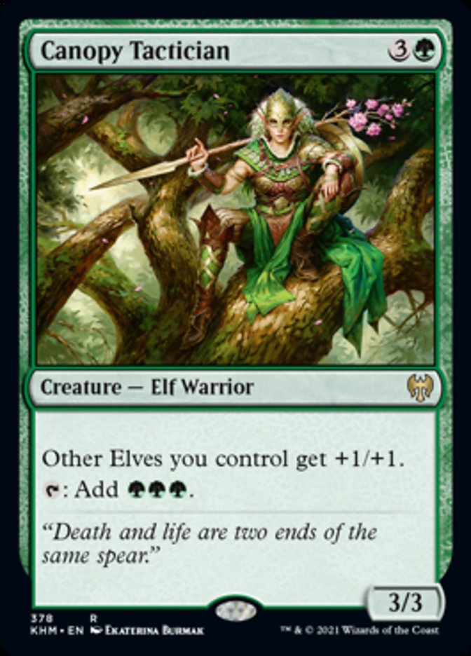 Canopy Tactician [Kaldheim] MTG Single Magic: The Gathering | Red Claw Gaming