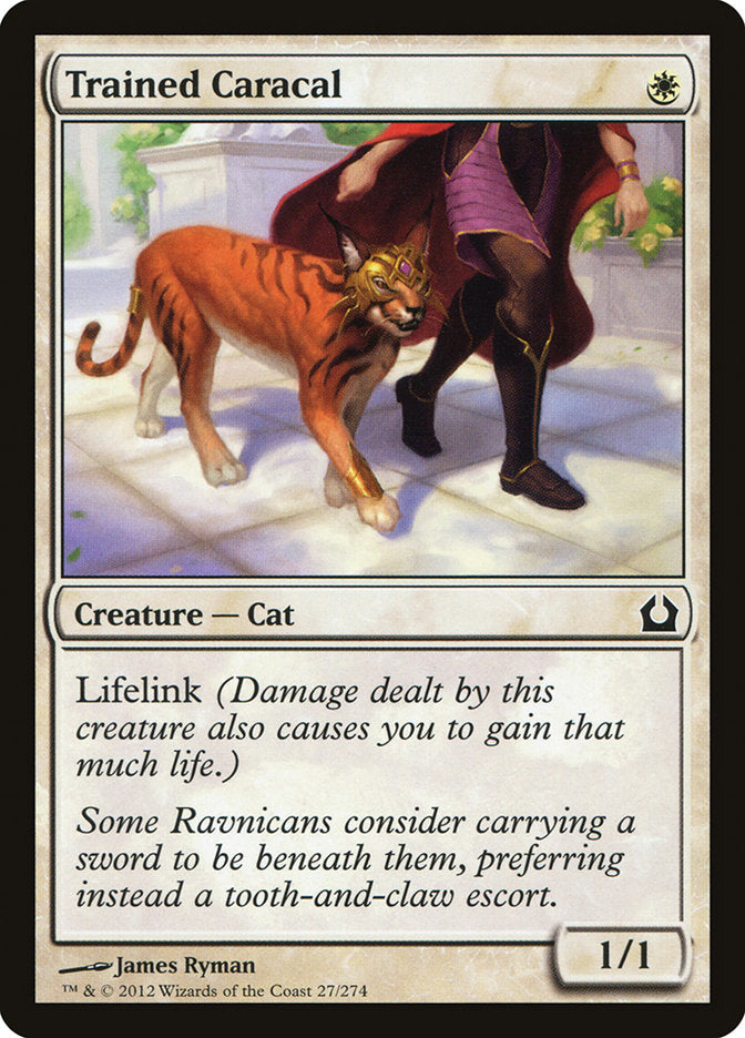 Trained Caracal [Return to Ravnica] MTG Single Magic: The Gathering | Red Claw Gaming