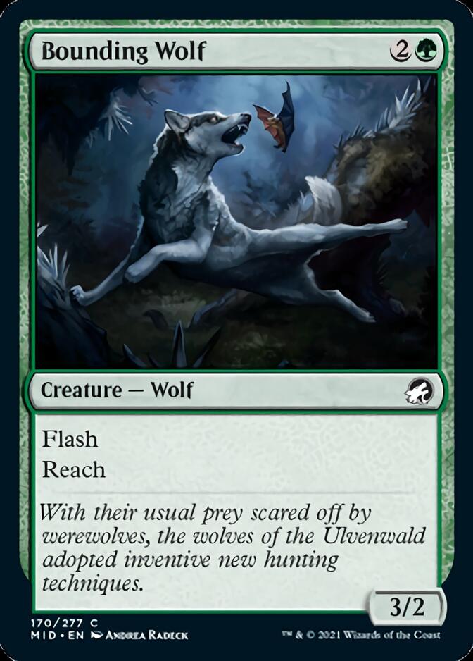 Bounding Wolf [Innistrad: Midnight Hunt] MTG Single Magic: The Gathering | Red Claw Gaming