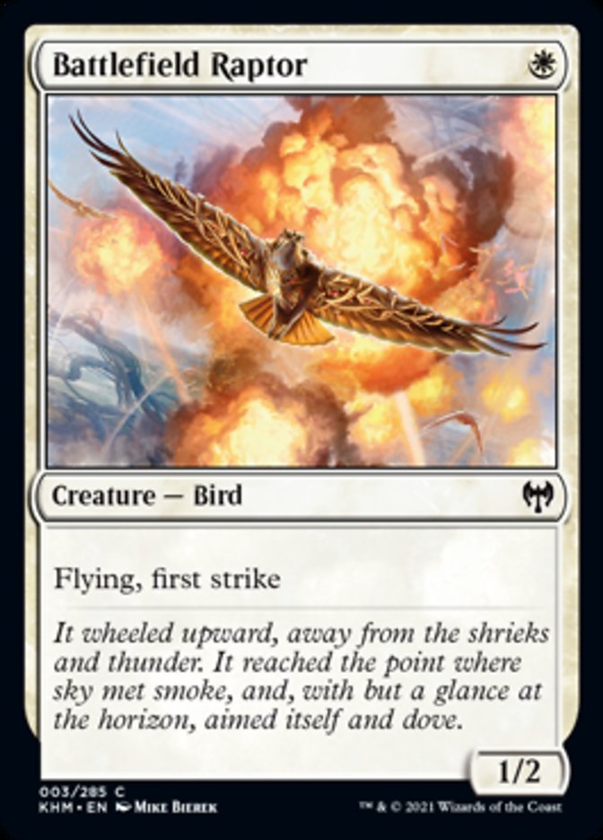 Battlefield Raptor [Kaldheim] MTG Single Magic: The Gathering | Red Claw Gaming