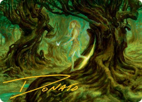 Neverwinter Dryad Art Card (Gold-Stamped Signature) [Dungeons & Dragons: Adventures in the Forgotten Realms Art Series] MTG Single Magic: The Gathering | Red Claw Gaming