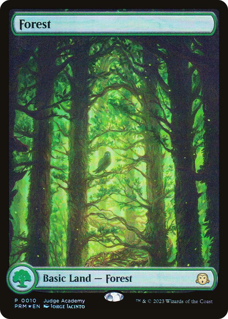 Forest [Judge Gift Cards 2023] MTG Single Magic: The Gathering | Red Claw Gaming