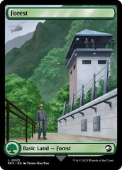 Forest // Forest [Jurassic World Collection] MTG Single Magic: The Gathering | Red Claw Gaming