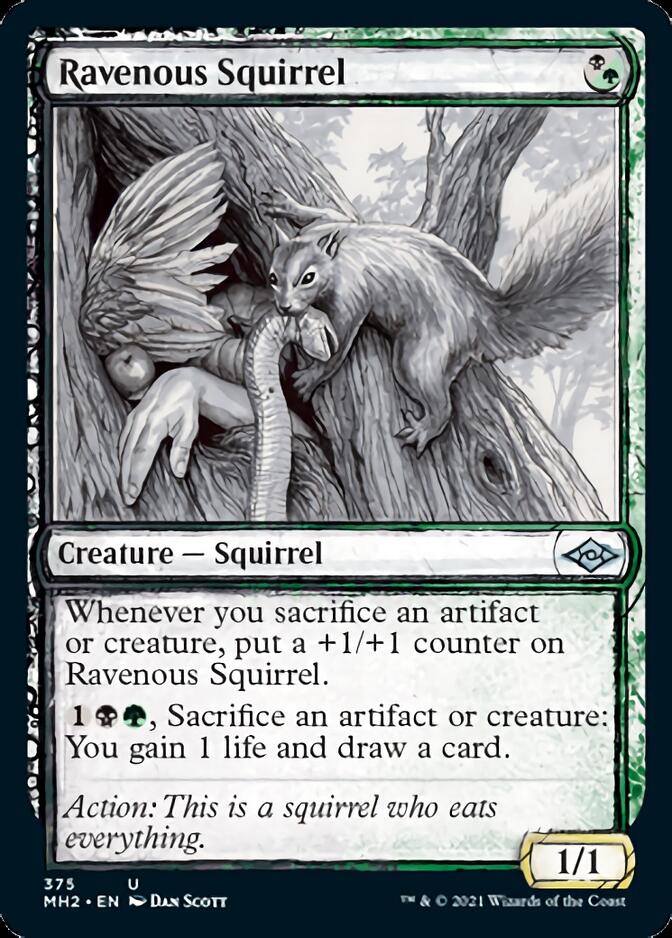 Ravenous Squirrel (Sketch) [Modern Horizons 2] MTG Single Magic: The Gathering | Red Claw Gaming