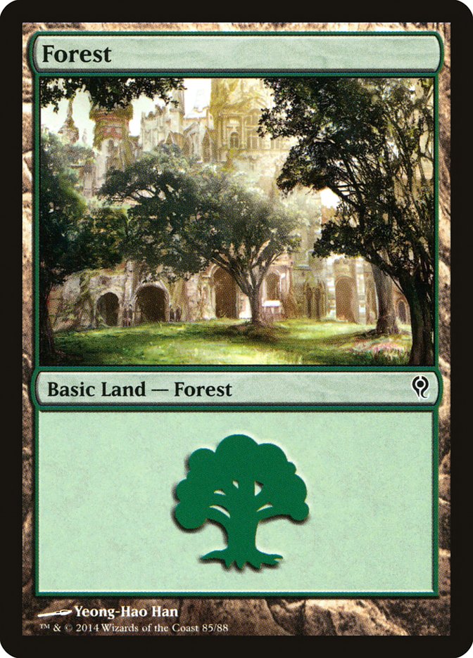 Forest (85) [Duel Decks: Jace vs. Vraska] MTG Single Magic: The Gathering    | Red Claw Gaming
