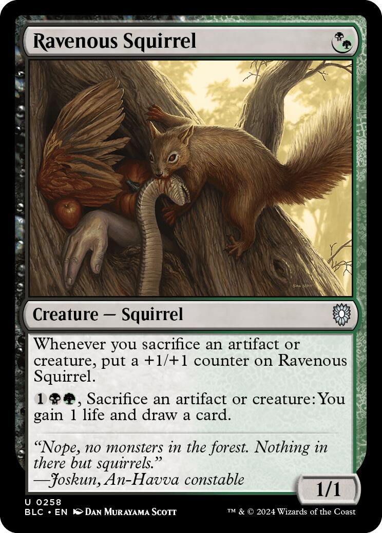 Ravenous Squirrel [Bloomburrow Commander] MTG Single Magic: The Gathering | Red Claw Gaming