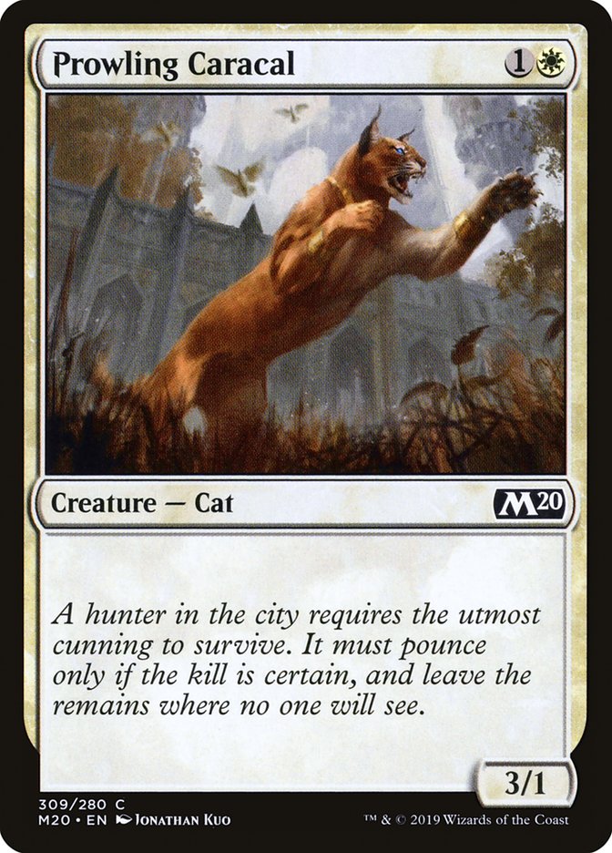 Prowling Caracal [Core Set 2020] MTG Single Magic: The Gathering | Red Claw Gaming