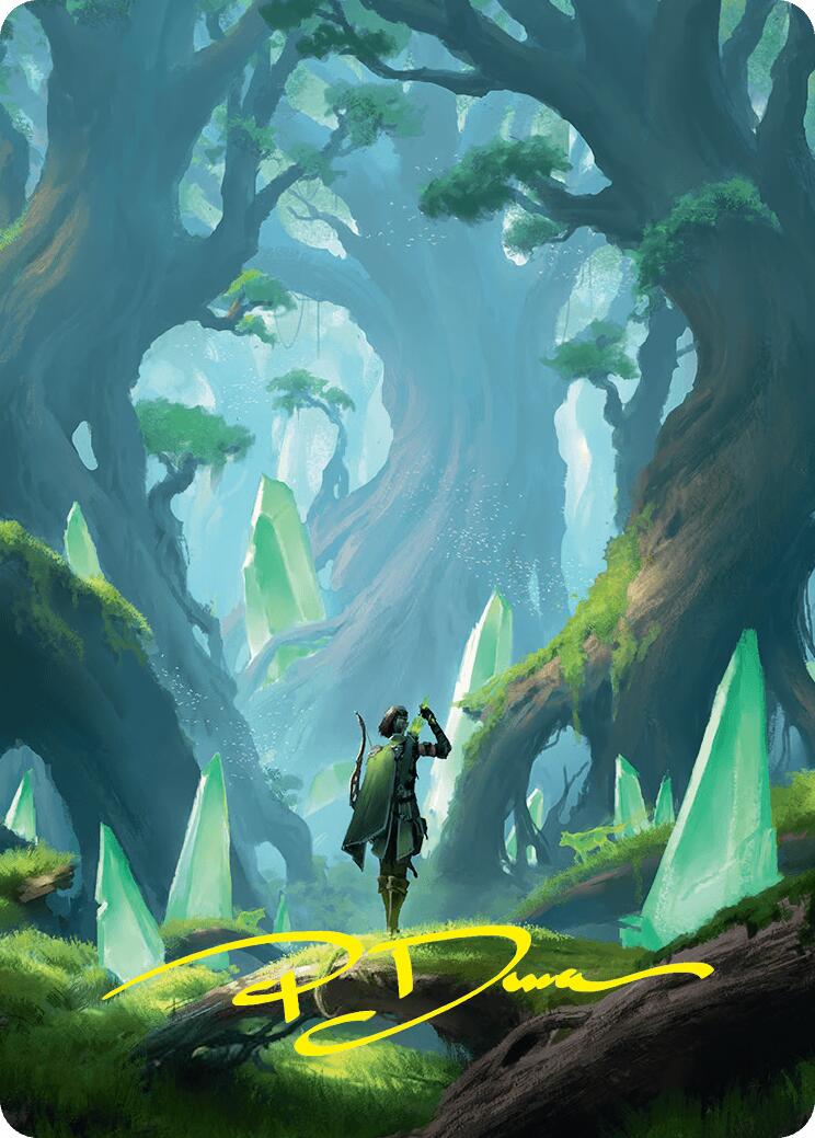 Forest Art Card (25/54) (Gold-Stamped Signature) [Foundations Art Series] MTG Single Magic: The Gathering | Red Claw Gaming