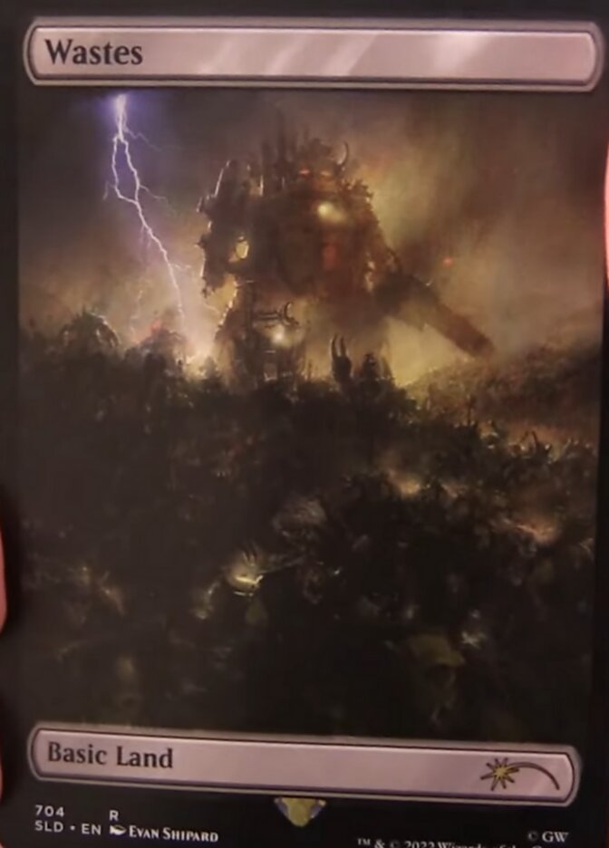 Wastes (704) (Extended Art) [Secret Lair Drop Promos] MTG Single Magic: The Gathering | Red Claw Gaming
