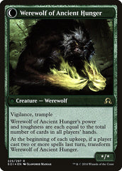 Sage of Ancient Lore // Werewolf of Ancient Hunger [Shadows over Innistrad Prerelease Promos] MTG Single Magic: The Gathering | Red Claw Gaming