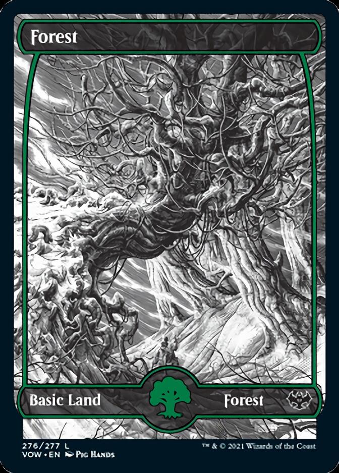 Forest (276) [Innistrad: Crimson Vow] MTG Single Magic: The Gathering | Red Claw Gaming