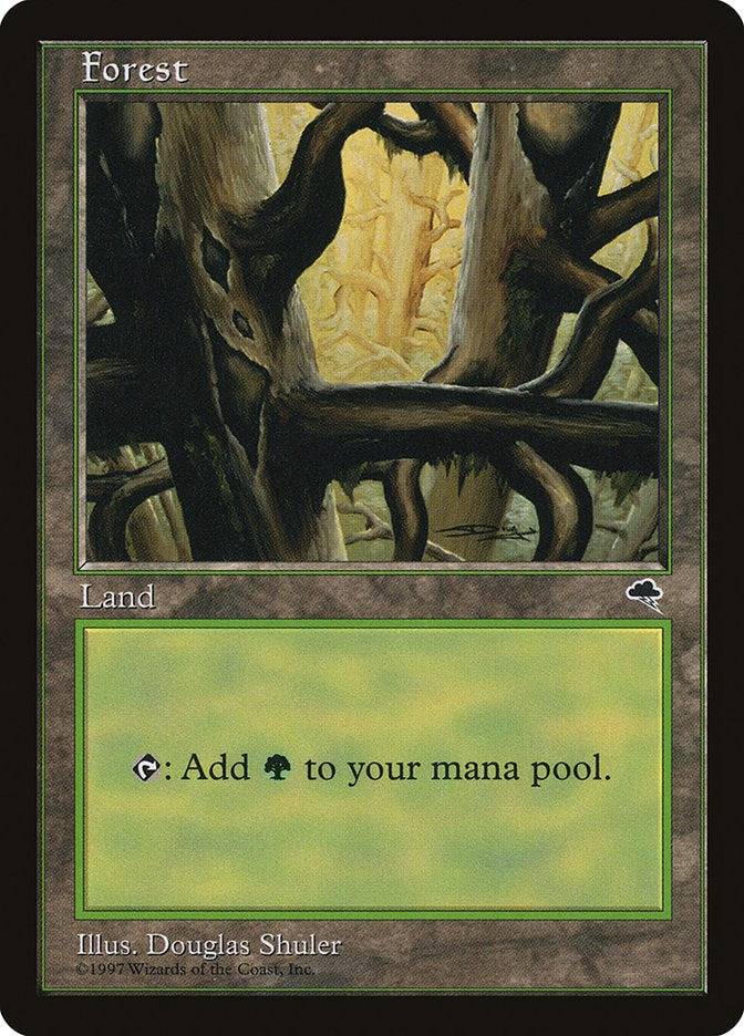 Forest (Black Signature) [Tempest] MTG Single Magic: The Gathering | Red Claw Gaming