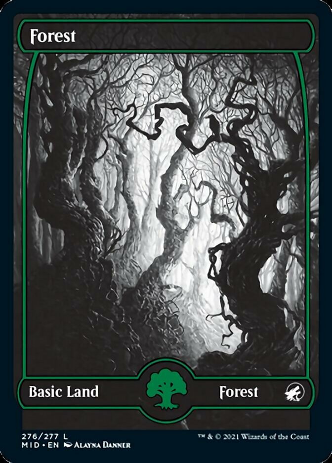 Forest (276) [Innistrad: Midnight Hunt] MTG Single Magic: The Gathering | Red Claw Gaming