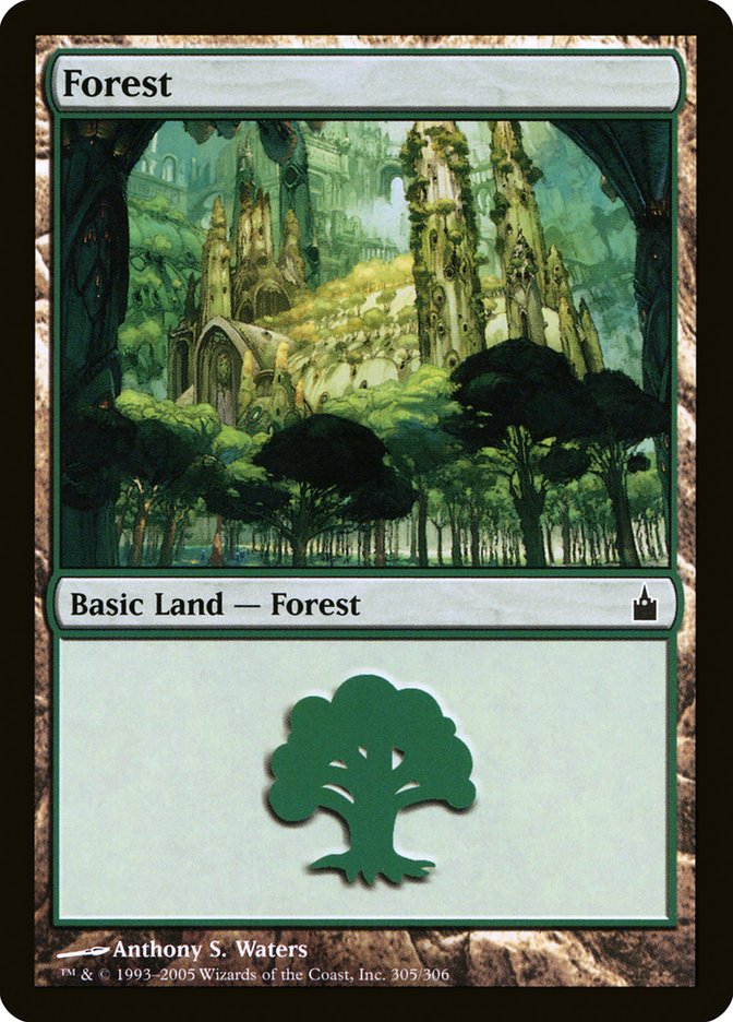 Forest (305) [Ravnica: City of Guilds] MTG Single Magic: The Gathering | Red Claw Gaming