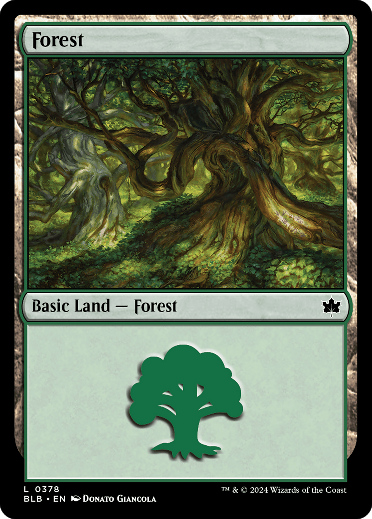 Forest (0378) [Bloomburrow] MTG Single Magic: The Gathering | Red Claw Gaming
