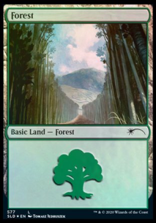 Forest (Walls) (577) [Secret Lair Drop Promos] MTG Single Magic: The Gathering | Red Claw Gaming
