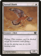Suntail Hawk (Oversized) [Eighth Edition Box Topper] MTG Single Magic: The Gathering    | Red Claw Gaming