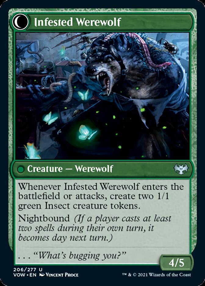 Infestation Expert // Infested Werewolf [Innistrad: Crimson Vow] MTG Single Magic: The Gathering | Red Claw Gaming