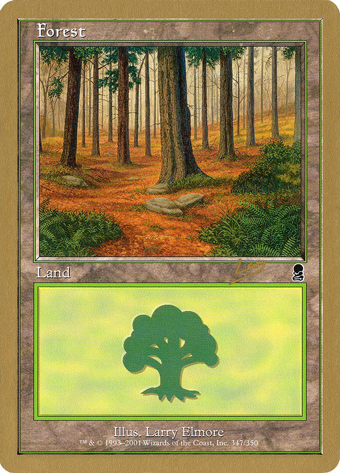Forest (rl347) (Raphael Levy) [World Championship Decks 2002] MTG Single Magic: The Gathering | Red Claw Gaming
