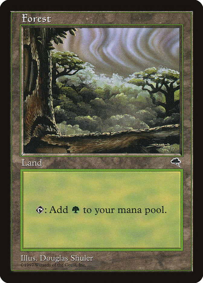 Forest (Sky Visible Top Right) [Tempest] MTG Single Magic: The Gathering | Red Claw Gaming