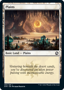 Plains (265) [Dungeons & Dragons: Adventures in the Forgotten Realms] MTG Single Magic: The Gathering | Red Claw Gaming
