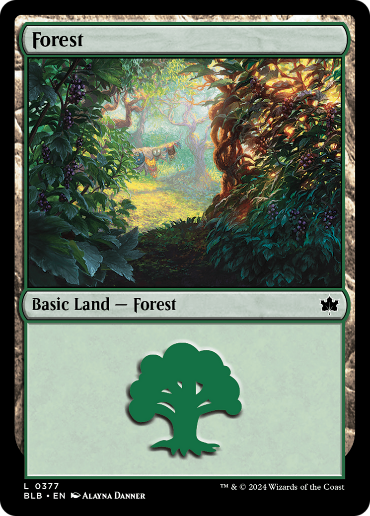 Forest (0377) [Bloomburrow] MTG Single Magic: The Gathering | Red Claw Gaming
