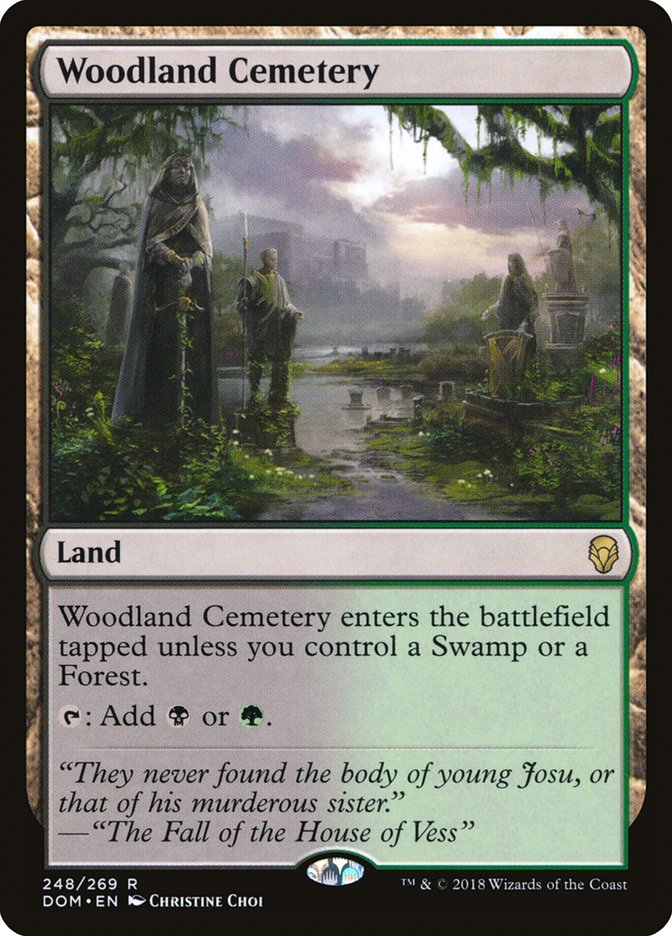 Woodland Cemetery [Dominaria] MTG Single Magic: The Gathering | Red Claw Gaming