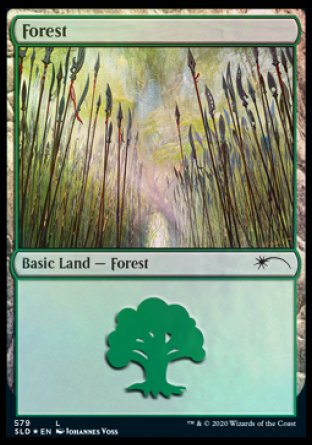 Forest (Elves) (579) [Secret Lair Drop Promos] MTG Single Magic: The Gathering | Red Claw Gaming