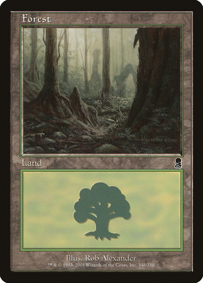 Forest (348) [Odyssey] MTG Single Magic: The Gathering | Red Claw Gaming
