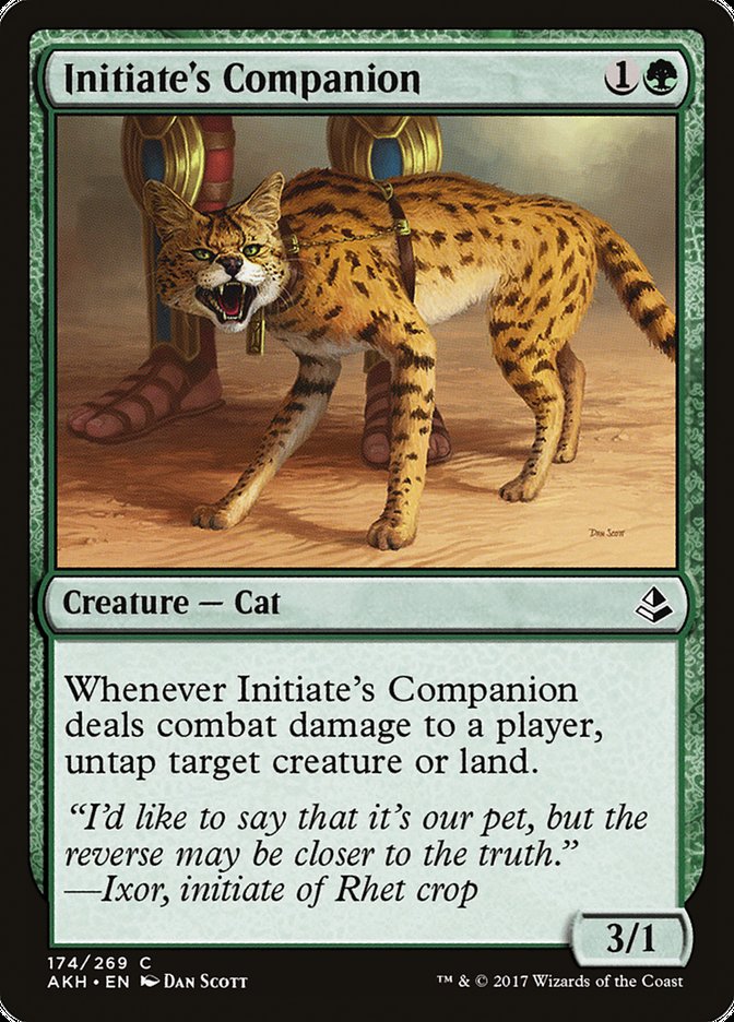 Initiate's Companion [Amonkhet] MTG Single Magic: The Gathering | Red Claw Gaming