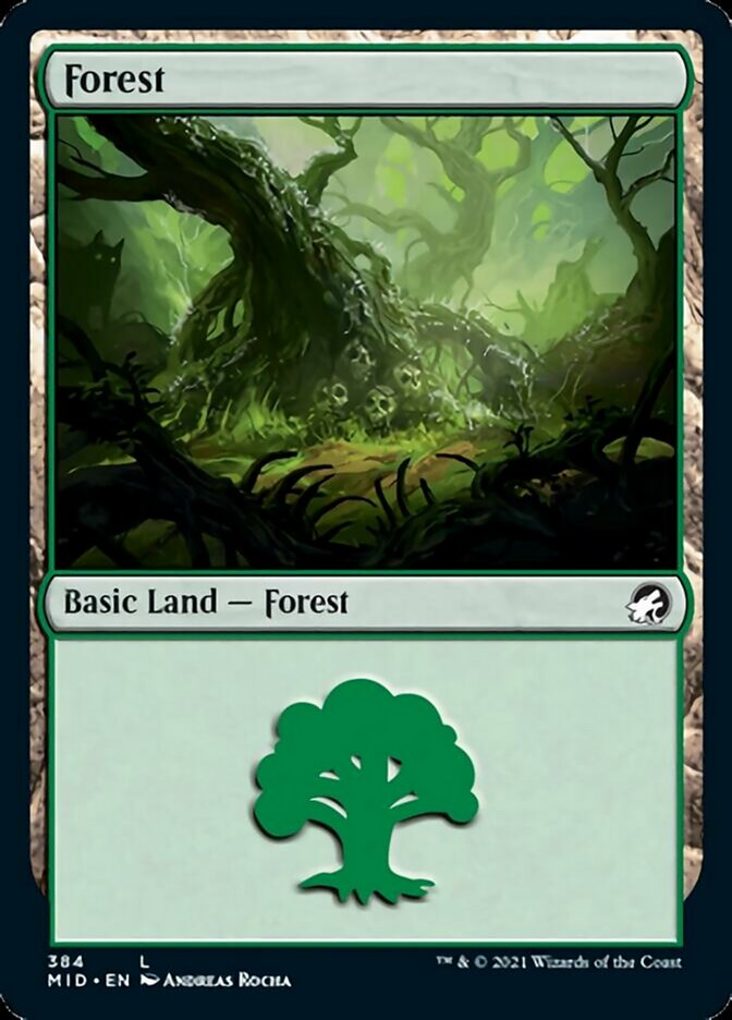 Forest (384) [Innistrad: Midnight Hunt] MTG Single Magic: The Gathering | Red Claw Gaming