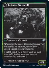 Infestation Expert // Infested Werewolf [Innistrad: Double Feature] MTG Single Magic: The Gathering | Red Claw Gaming