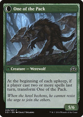 Solitary Hunter // One of the Pack [Shadows over Innistrad] MTG Single Magic: The Gathering | Red Claw Gaming