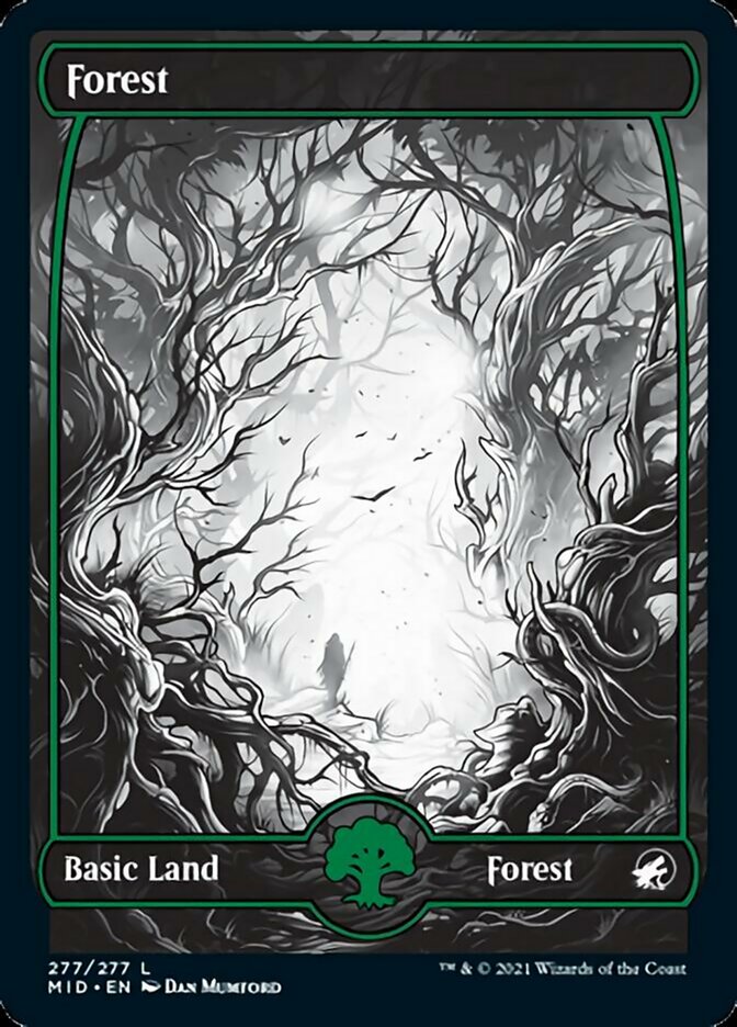Forest (277) [Innistrad: Midnight Hunt] MTG Single Magic: The Gathering | Red Claw Gaming