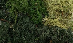 Summer Mix EZ Bushes All Game Terrain Red Claw Gaming    | Red Claw Gaming