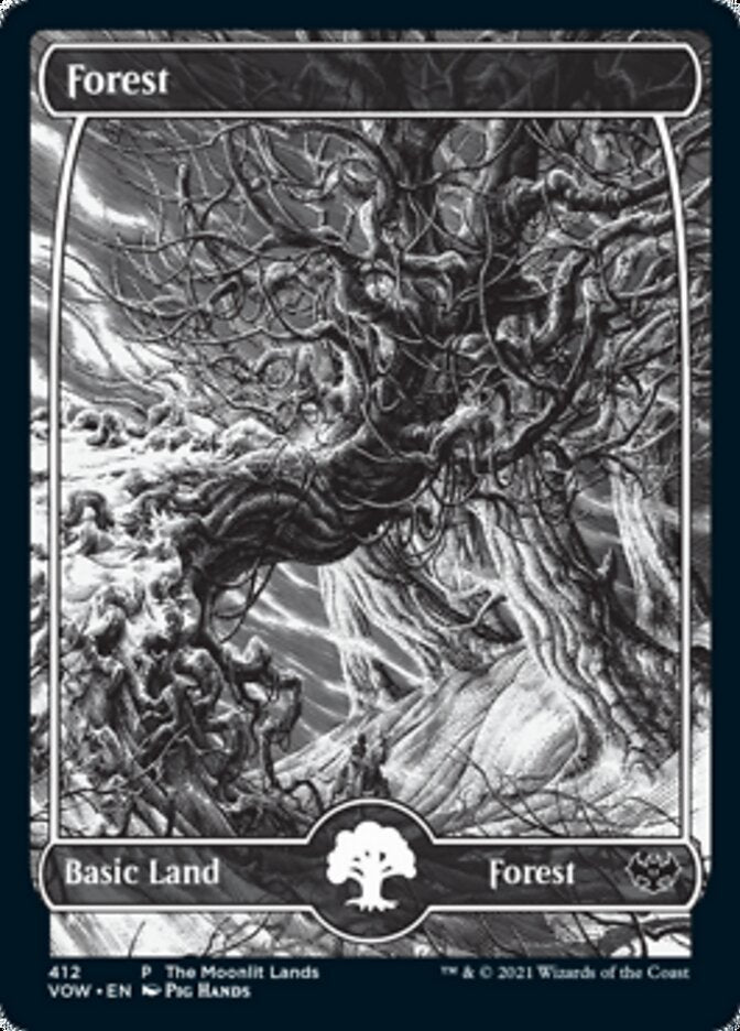 Forest (The Moonlit Lands) (Foil Etched) [Innistrad: Crimson Vow Promos] MTG Single Magic: The Gathering | Red Claw Gaming
